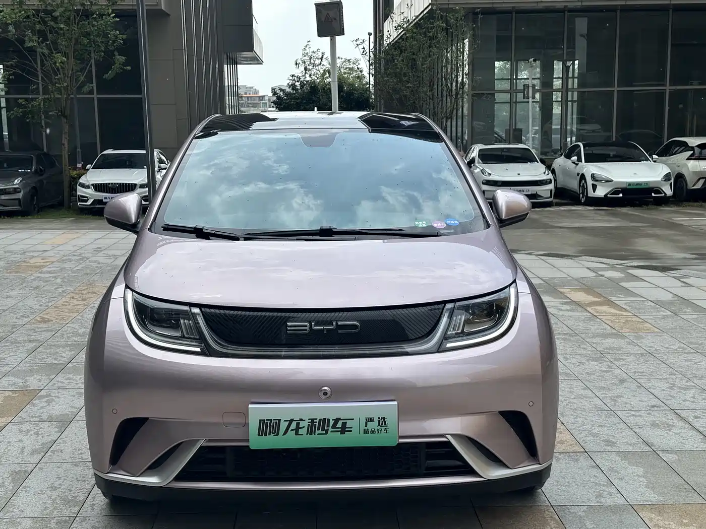 BYD Dolphin 2023 420km Fashion Edition фото 3