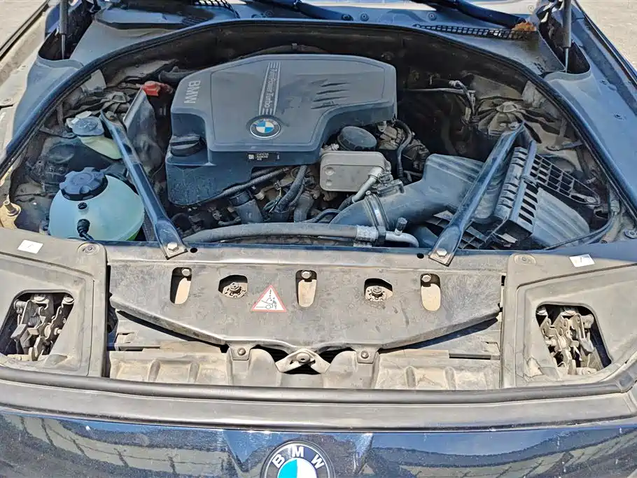 BMW 5 Series 2014 520Li Elegance фото 10