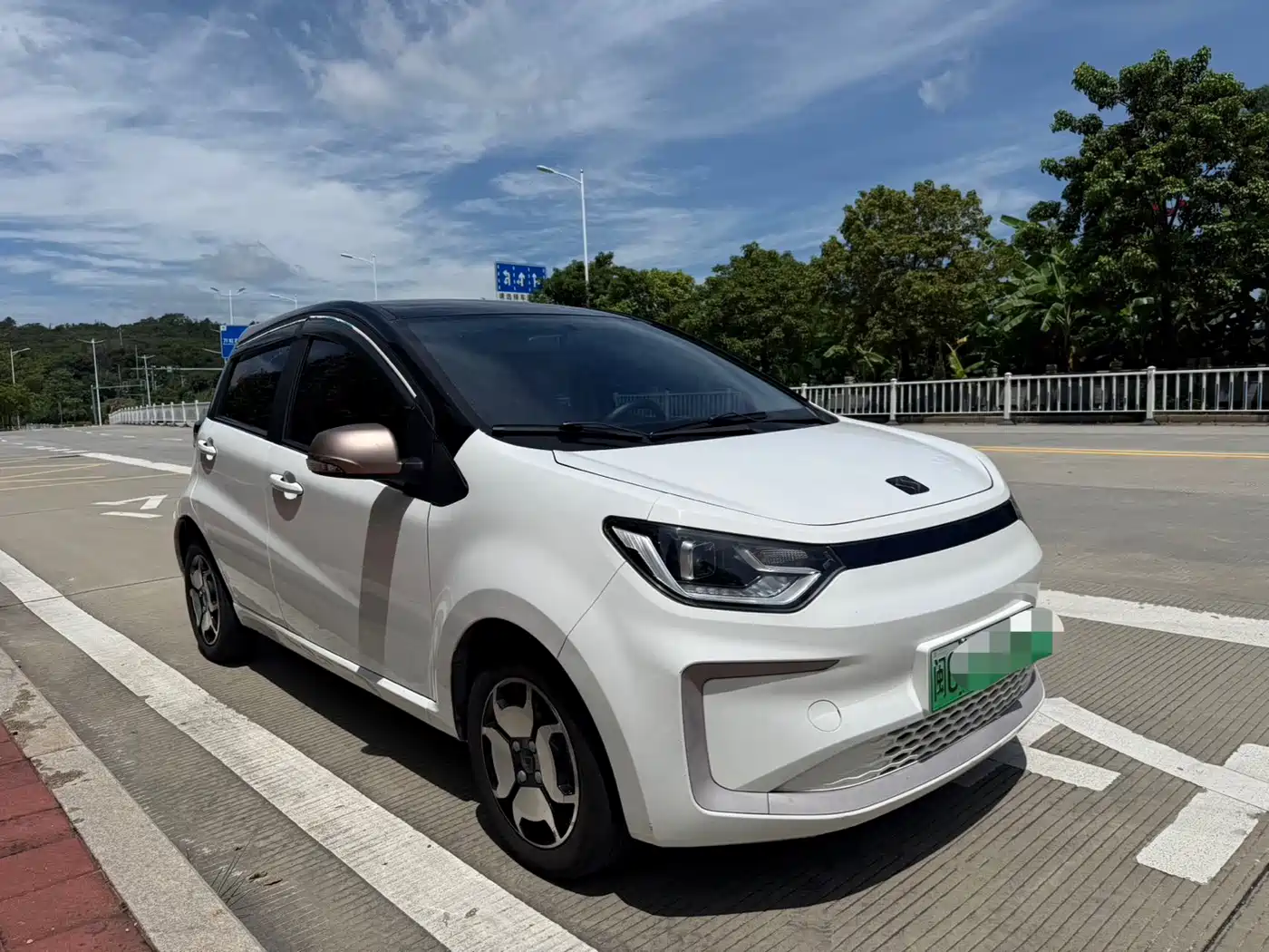 Sehol Flower Fairy 2021 2021 302km Surpass Edition 31.4kWh