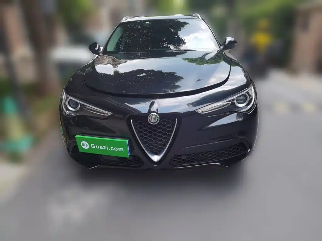 Alfa Romeo Stelvio 2019 2017 2.0T 200HP Luxury Edition
