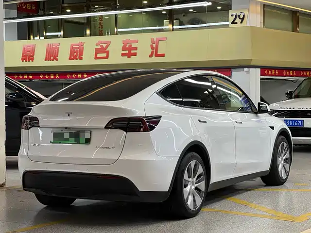 Tesla Model Y 2021 Standard Range Rear-Wheel Drive — фото 4
