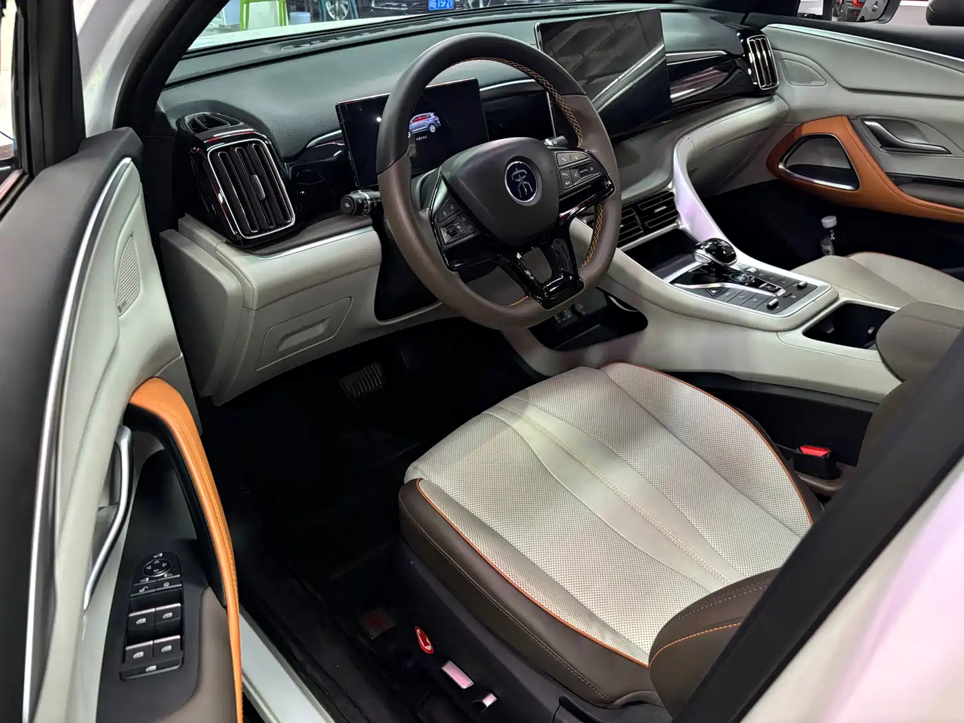 BYD Song Pro New Energy 2022 DM-i 51km Prestige фото 15
