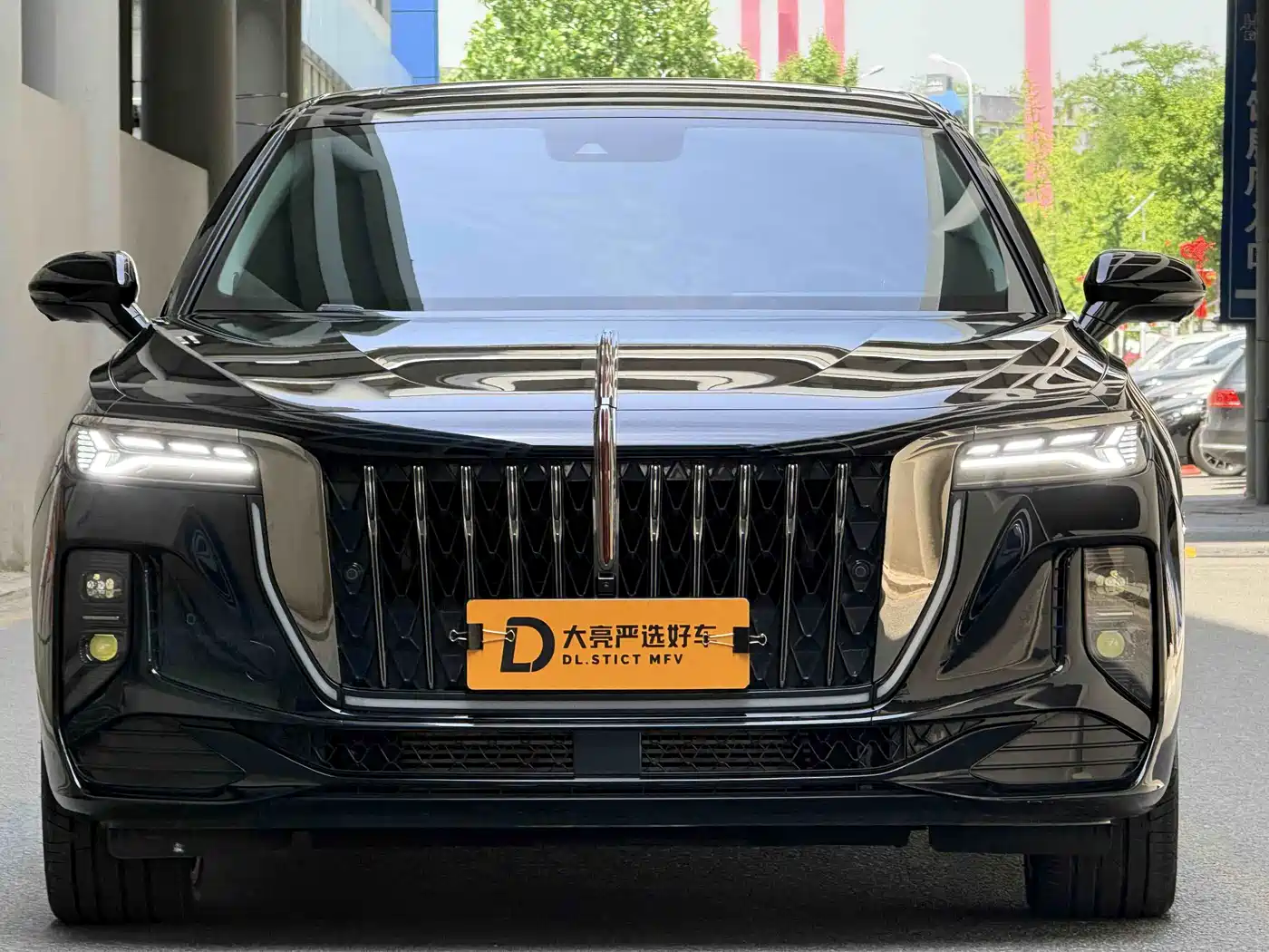 Hongqi H9 2025 2.0T 2WD Qixiang Private Style Edition 5-seater фото 2