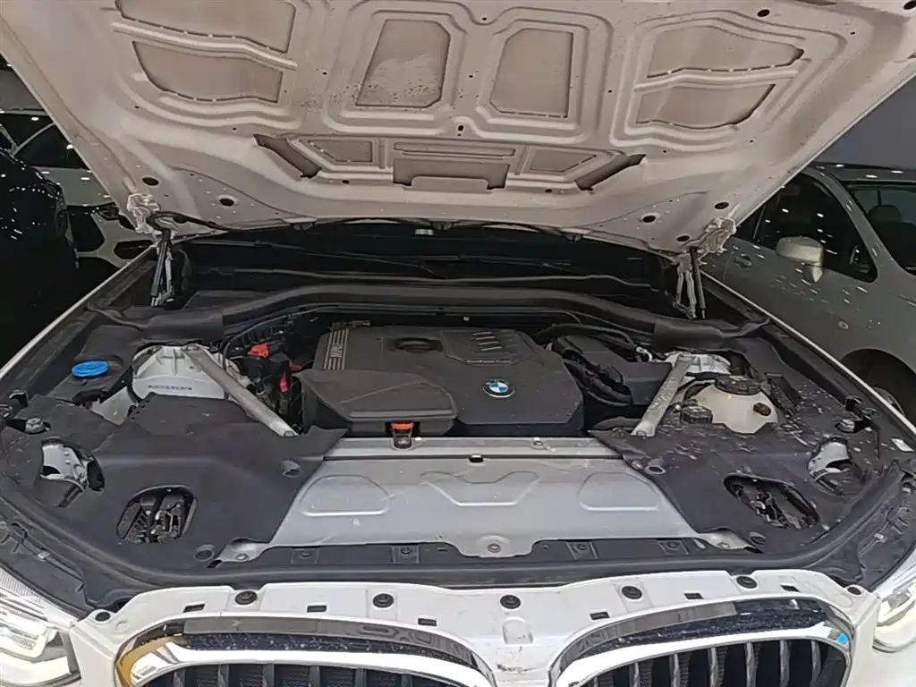 BMW X3 2021 xDrive30i Leading M Sport Package фото 20