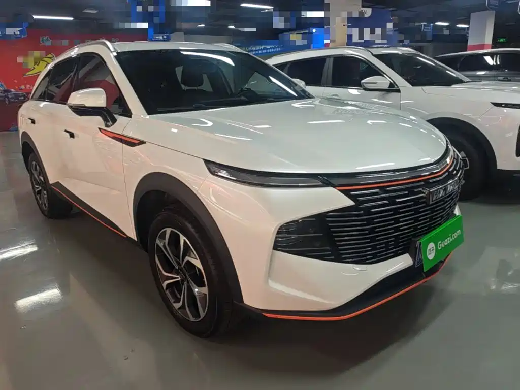 Haval Shenshou 2023 2022 1.5T Smart Enjoyment Edition