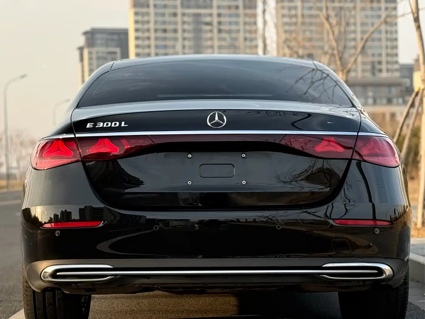 Mercedes-Benz E-Class 2024 E 300 L Fashion фото 16