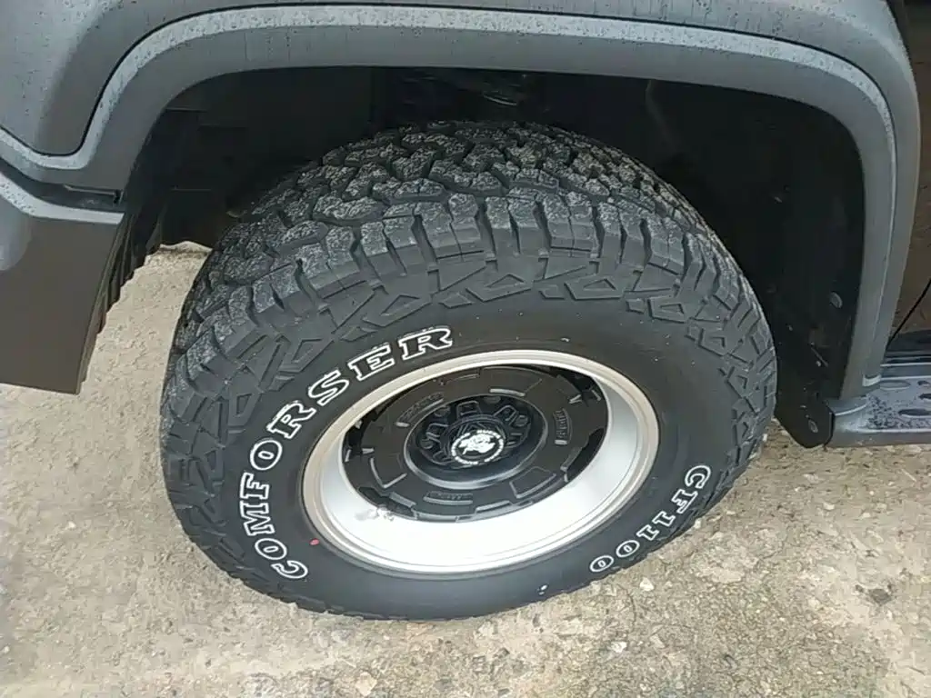 Tank 300 2021 2021 Off-road Edition 2.0T Challenger