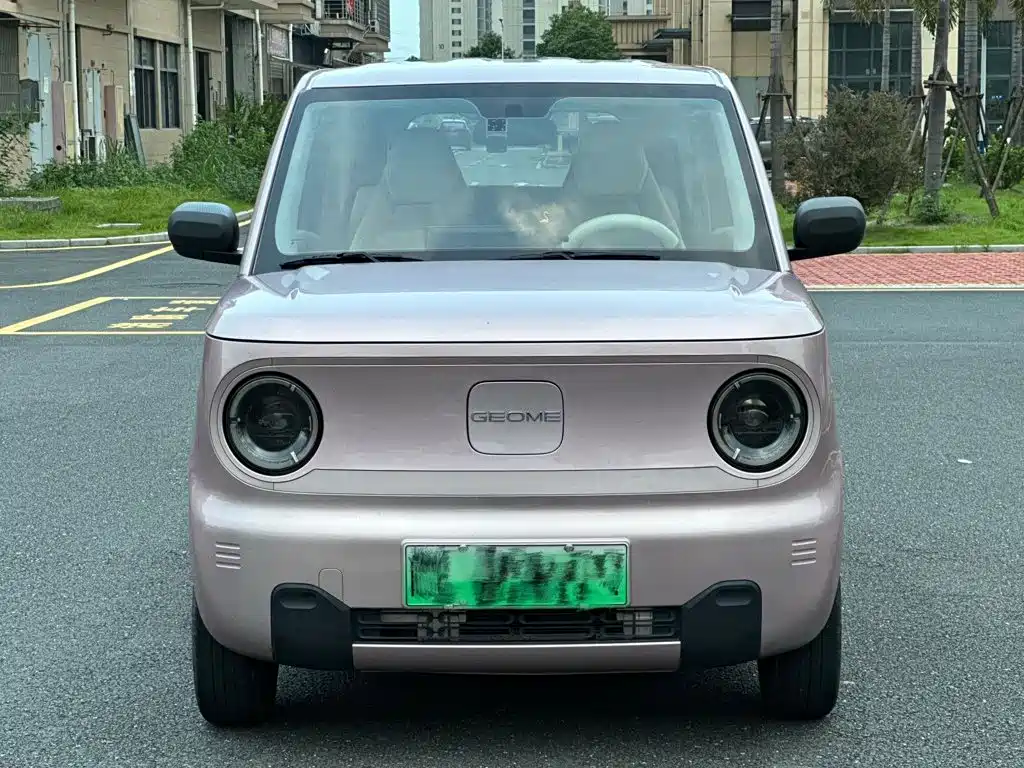 Geely Galaxy Panda 2023 2023 Panda Mini 200km Endurance Bear