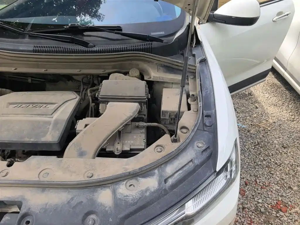 Haval H2s 2018 Blue Label 1.5T DCT Luxury Model фото 22