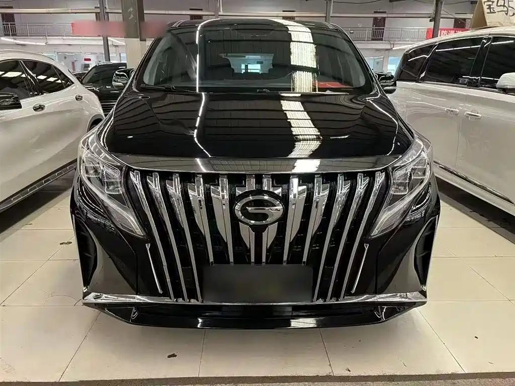 GAC Trumpchi Trumpchi M8 2023 Leading Series 390T Premium Edition фото 8