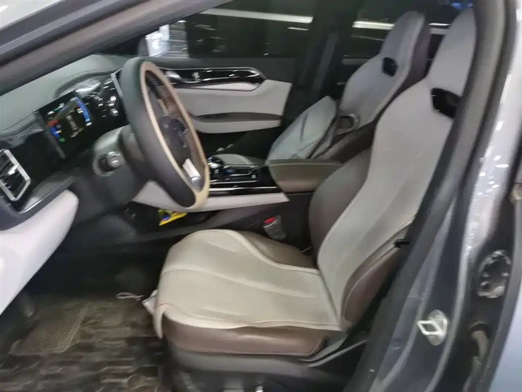 BYD Qin PLUS 2024 Glory Edition DM-i 55KM Surpass фото 15