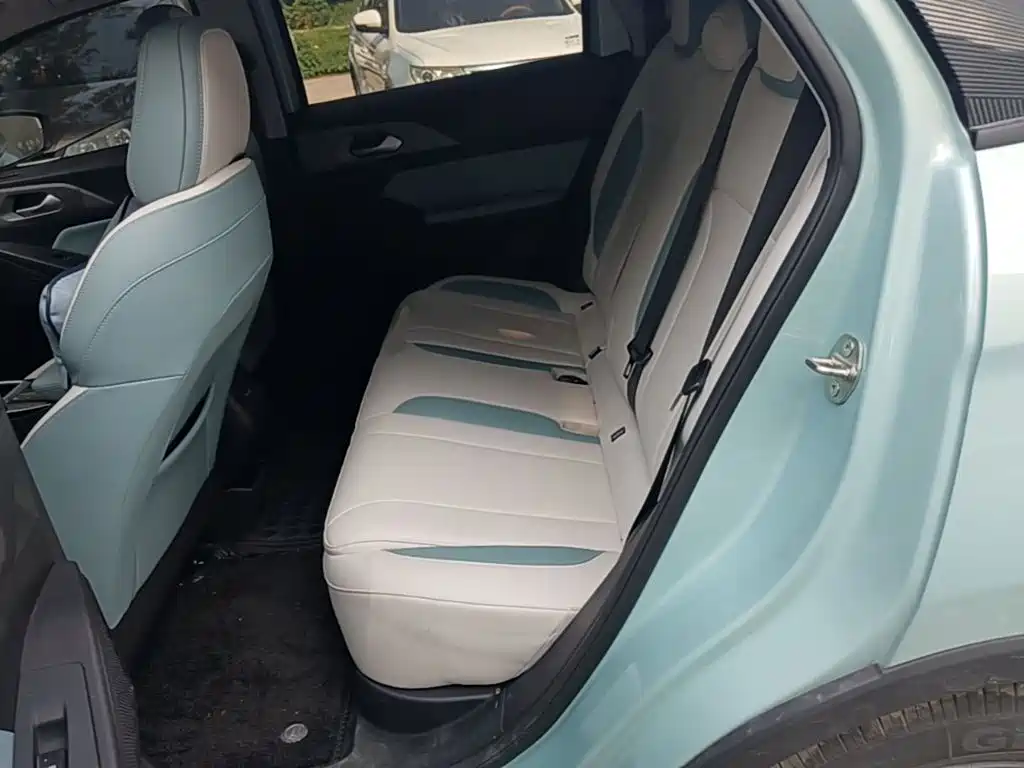 Photo 17 - Geely Geometry E Firefly