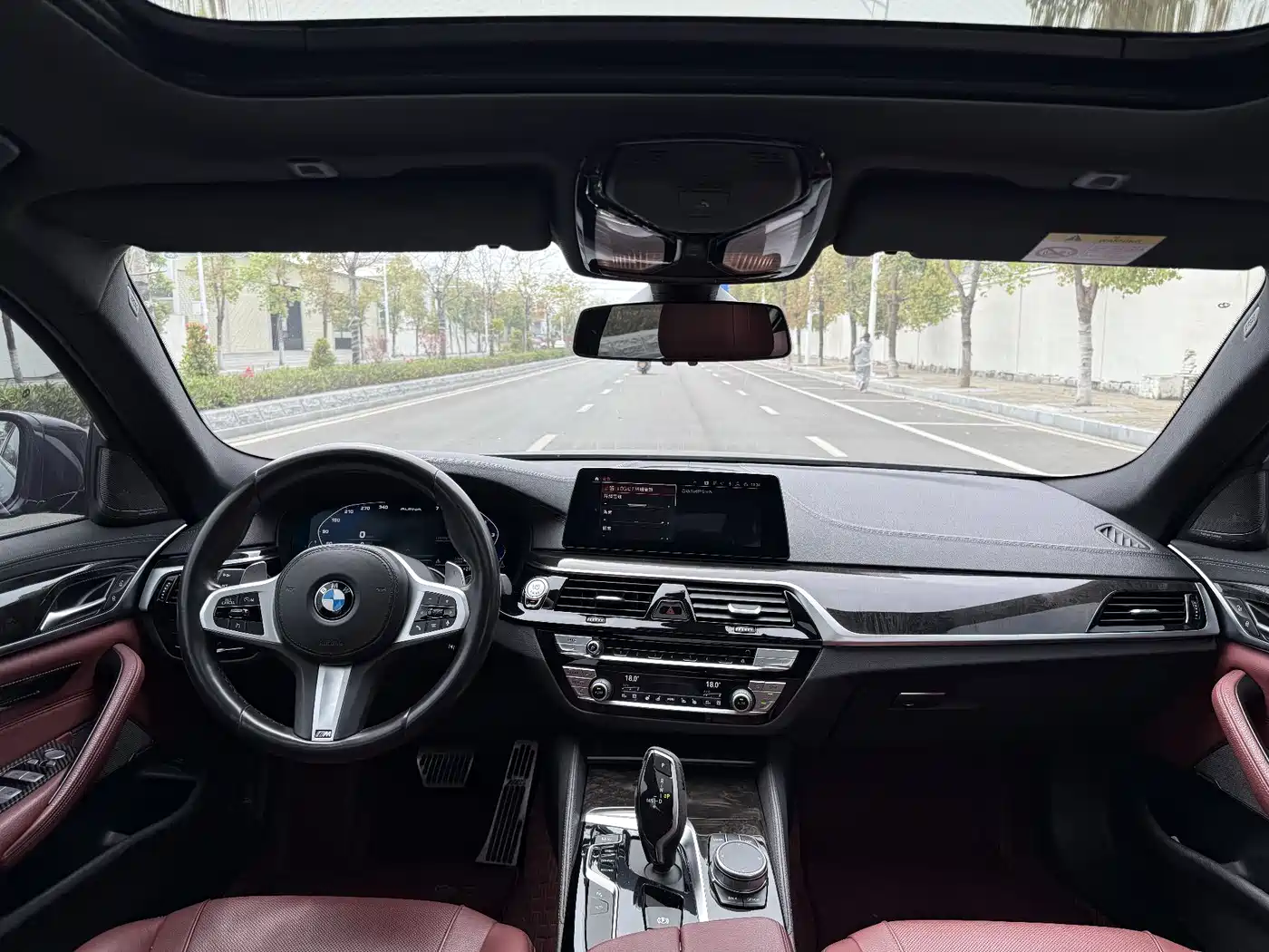 BMW 5 Series 2020 530Li Exclusive M Sport Package фото 6