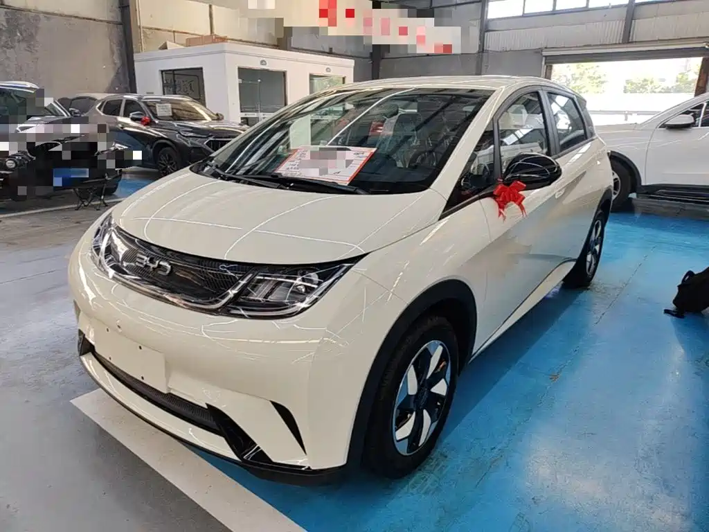 Фото 2 - BYD Dolphin