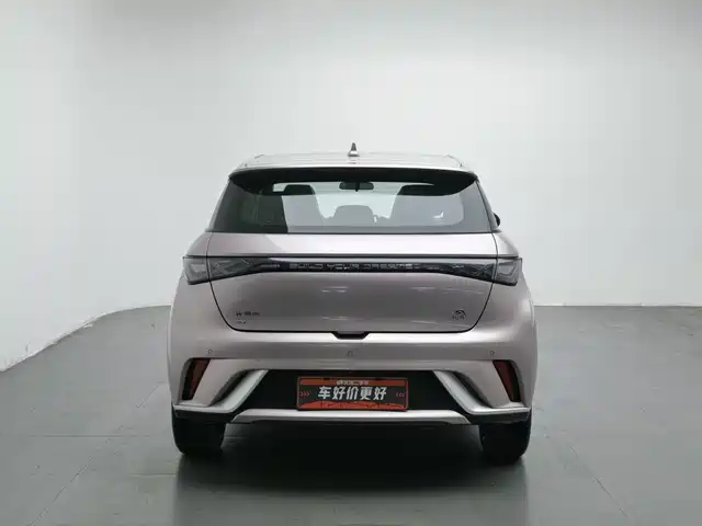 BYD Dolphin 2021 Model 405km Fashion Edition — фото 4