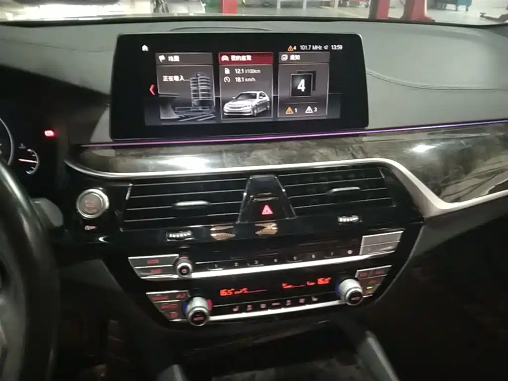 BMW 5 Series 2019 530Li Leading M Sport Package фото 10