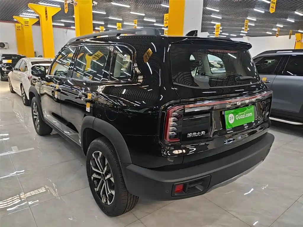 Haval Big Dog 2026 Model 1.5T High Configuration фото 5