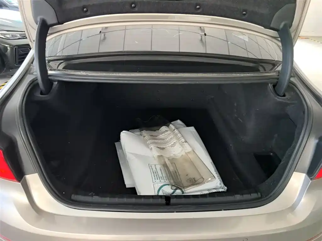 BMW 5 Series 2020 530Li Leading Luxury Package фото 19
