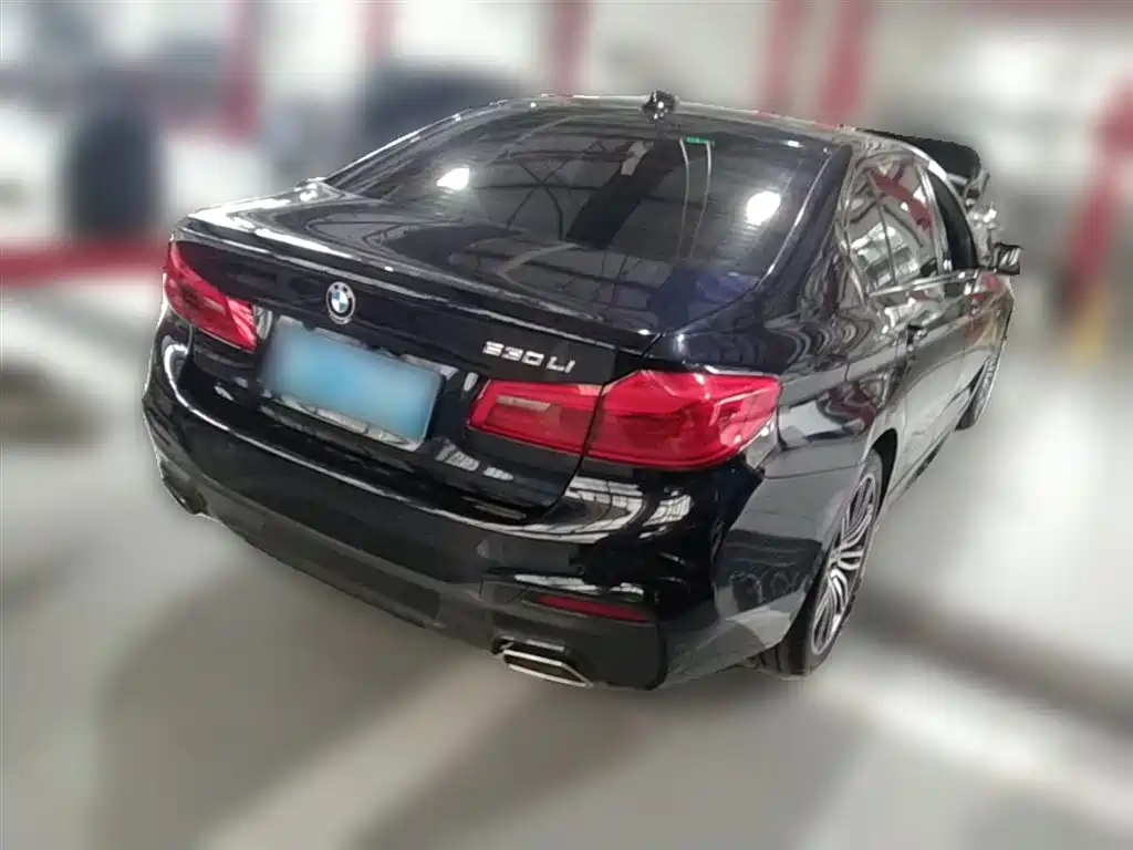 BMW 5 Series 2019 530Li Leading M Sport Package фото 5