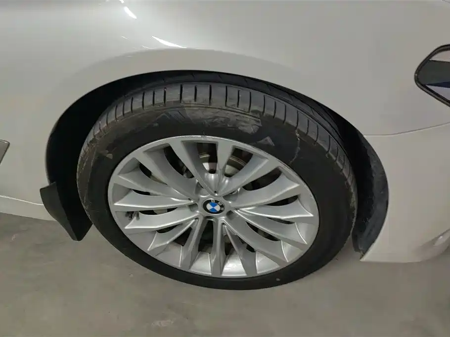 BMW 5 Series 2018 Facelift 530Li xDrive Luxury Package фото 6