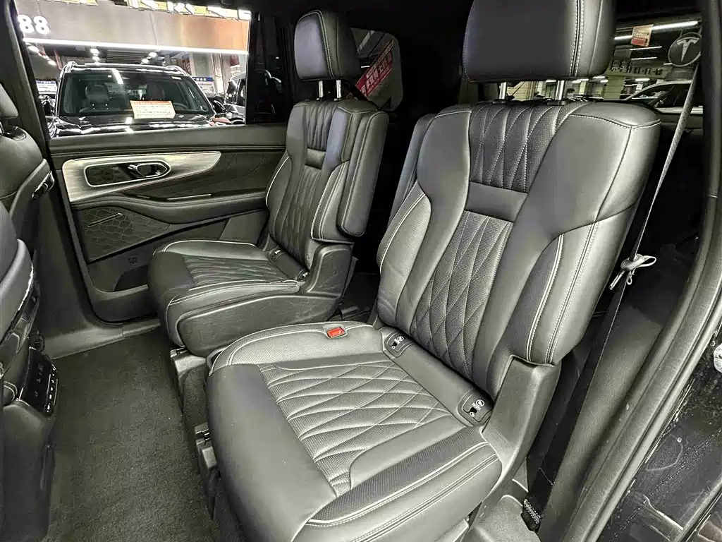 GAC Trumpchi Trumpchi GS8 2022 Dual Engine Series 2.0TM 2WD Premium Edition (6-Seater) фото 30