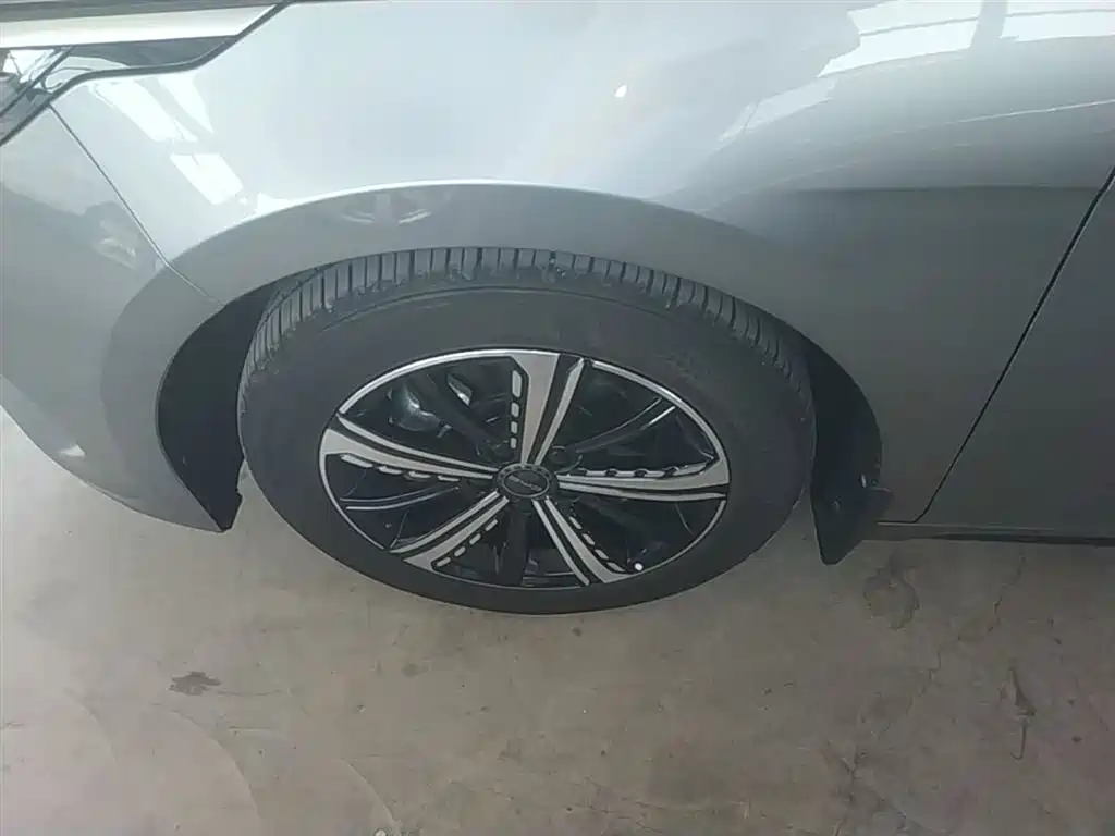 BYD Destroyer 05 2022 DM-i 55KM Luxury фото 25