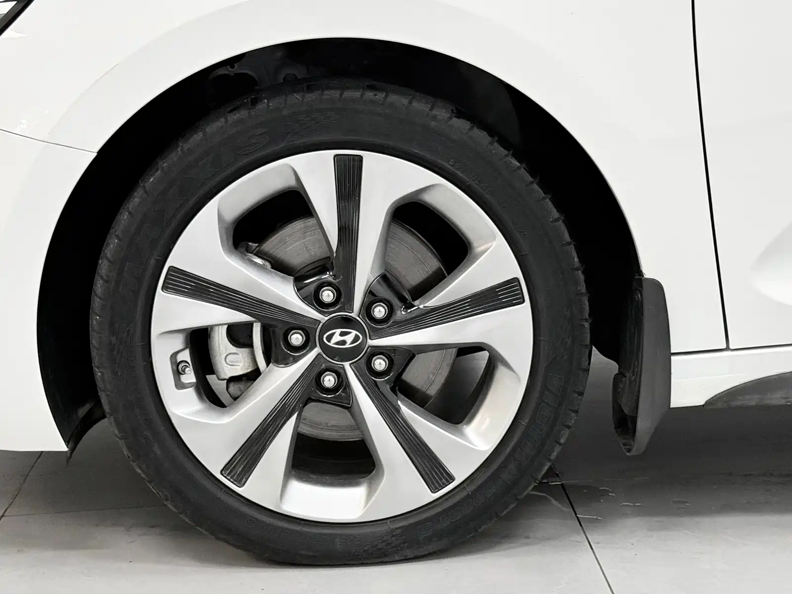 Photo 11 - Hyundai Lafesta