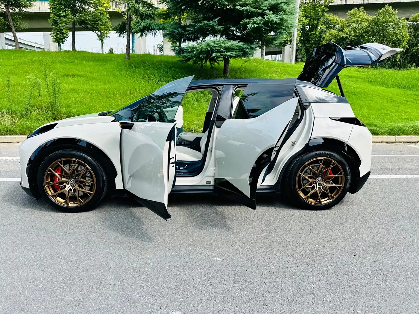 ZEEKR X 2024 2024 Model 4-Seat RWD Version