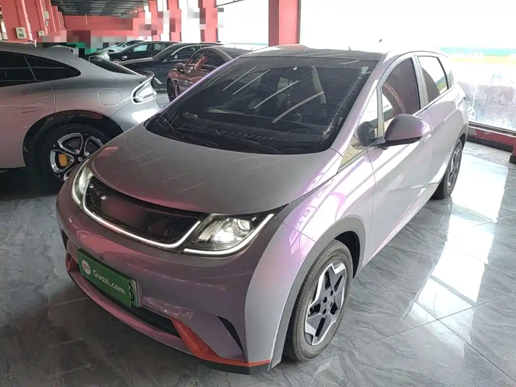 BYD Dolphin 2021 Model 405km Fashion Edition