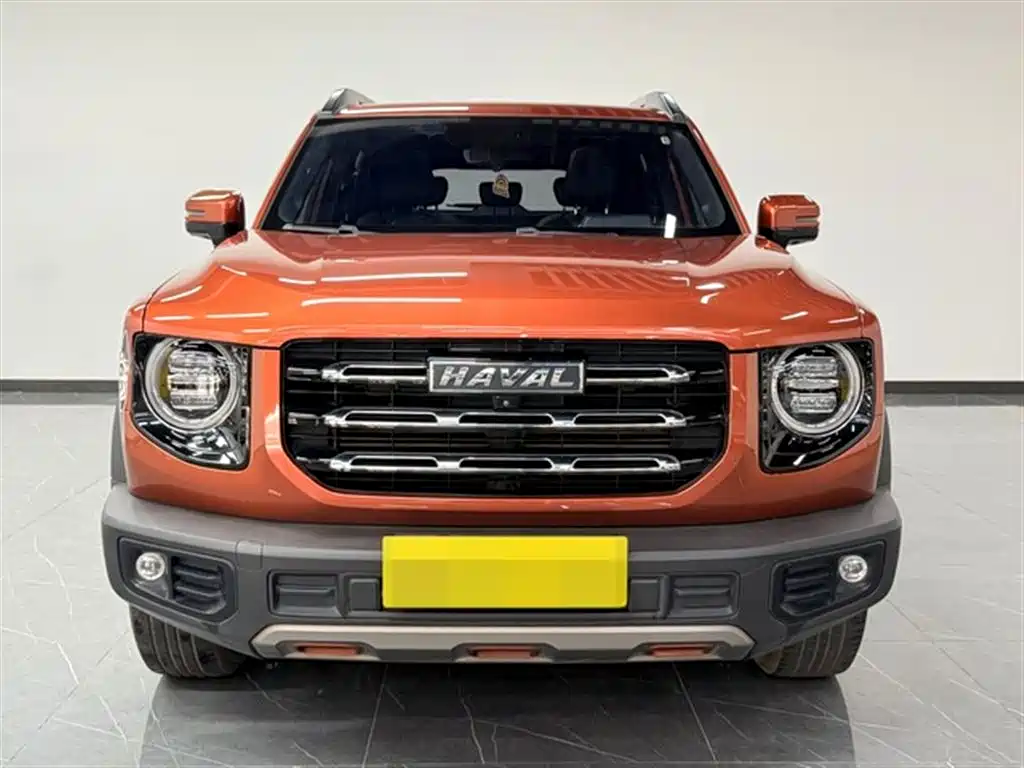 HAVAL BIG DOG