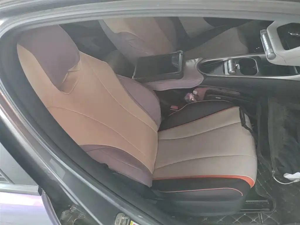 BYD Dolphin 2021 Model 405km Fashion Edition фото 25