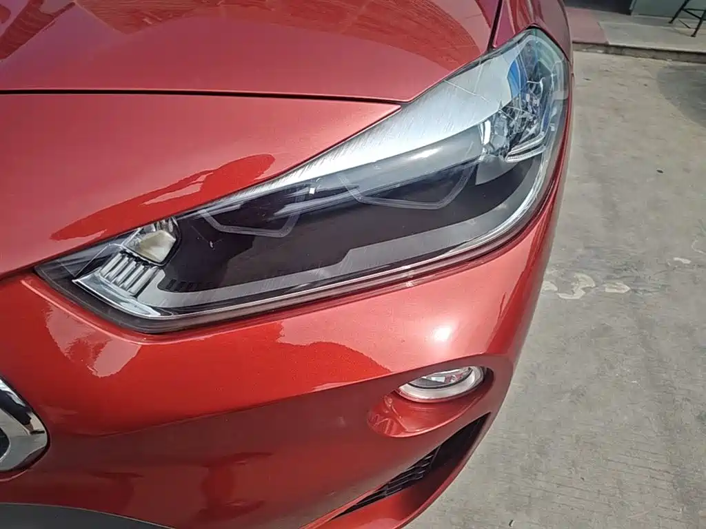 BMW X2 (Import) 2019 sDrive20i M Off-Road Package China VI фото 24