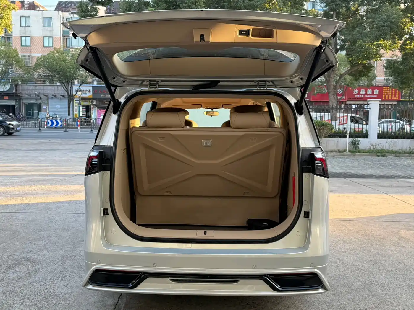 Buick GL8 2025 Land Business Class Comfort DG Edition фото 14