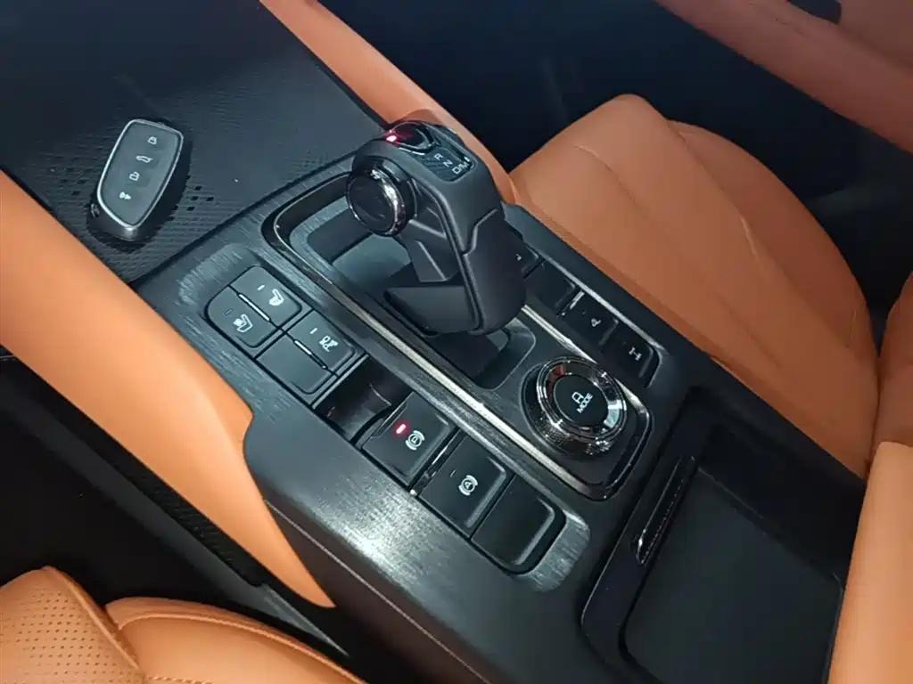 Haval H9 2024 2.0T Gasoline AWD Extreme Edition фото 14