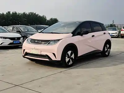 BYD Dolphin