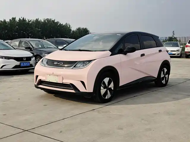 BYD Dolphin 420km, Стиль