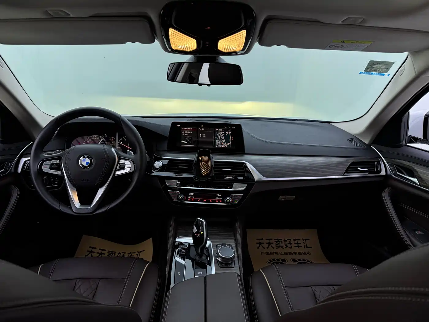 BMW 5 Series 2019 530Li Leading Luxury Package фото 8