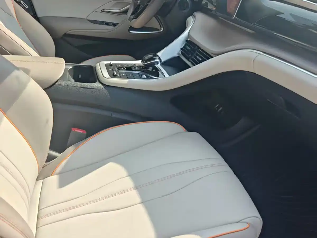 BYD Song Pro New Energy 2025 2024 Glory Edition DM-i 71KM Pilot