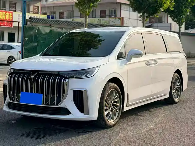 Voyah Auto Voyah Dreamer 2023