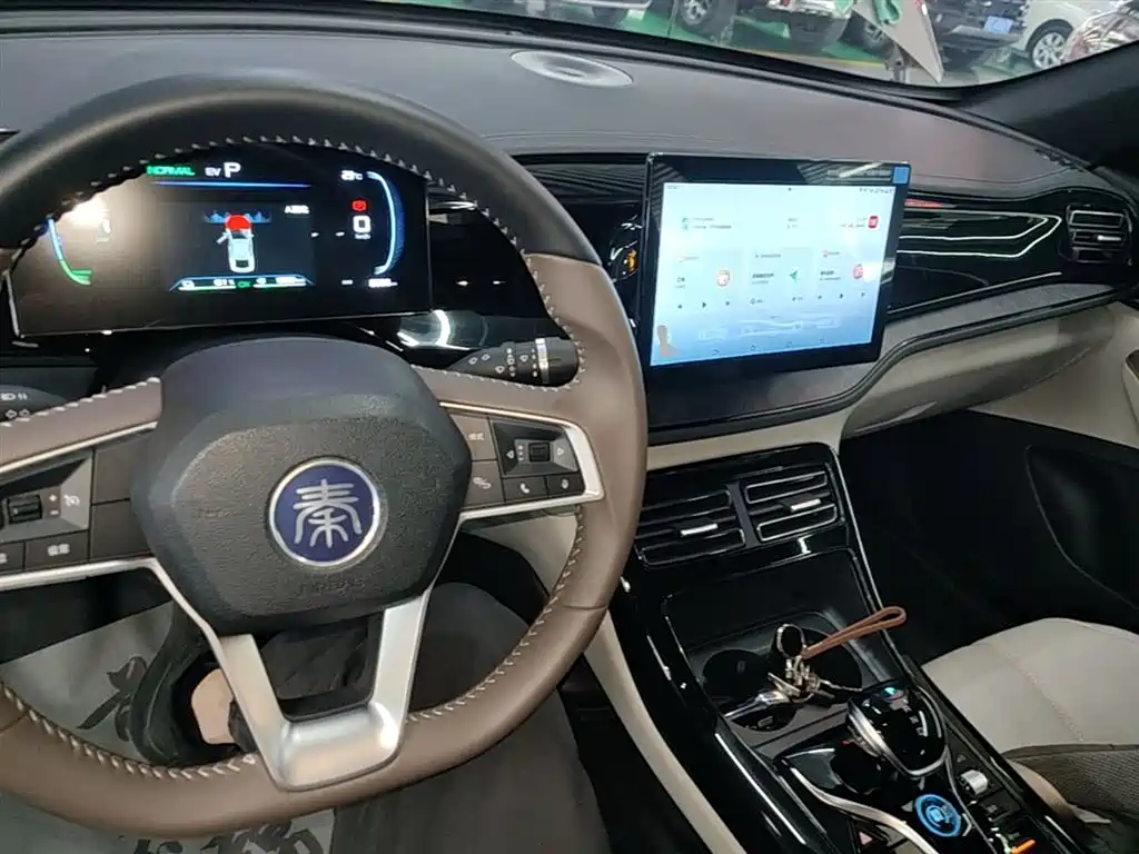 BYD Qin PLUS 2024 Glory Edition DM-i 55KM Leading фото 10