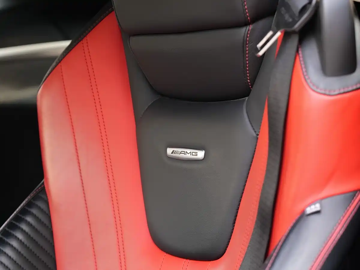 Mercedes-Benz AMG GT 2019 AMG GT фото 8
