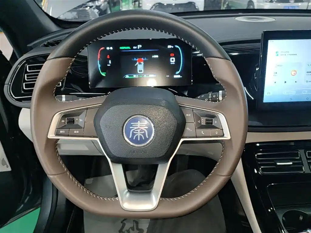 BYD Qin PLUS 2024 Glory Edition DM-i 55KM Leading фото 11