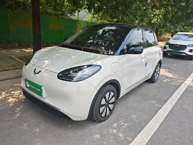  Wuling Motors Wuling Bingo 2023 333km Joyful Version