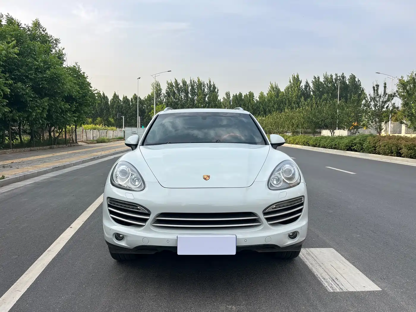 Porsche Cayenne 2014 Cayenne Platinum Edition 3.0T фото 2