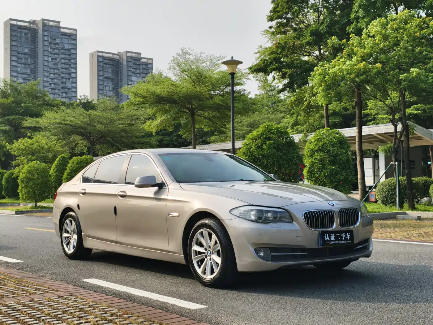 BMW 5 Series 2013 525Li Leadership фото 4