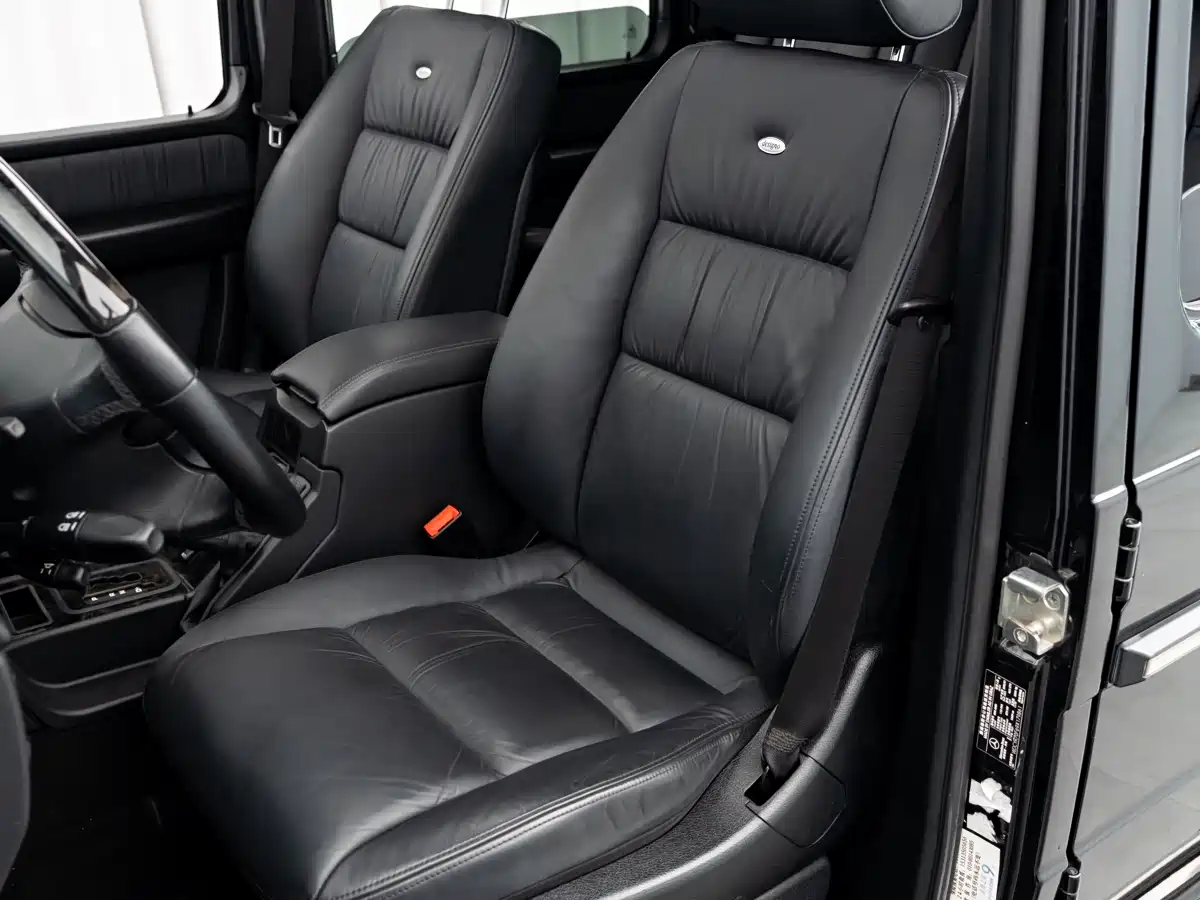 Mercedes-Benz G-Class AMG 2009 AMG G 55 фото 11