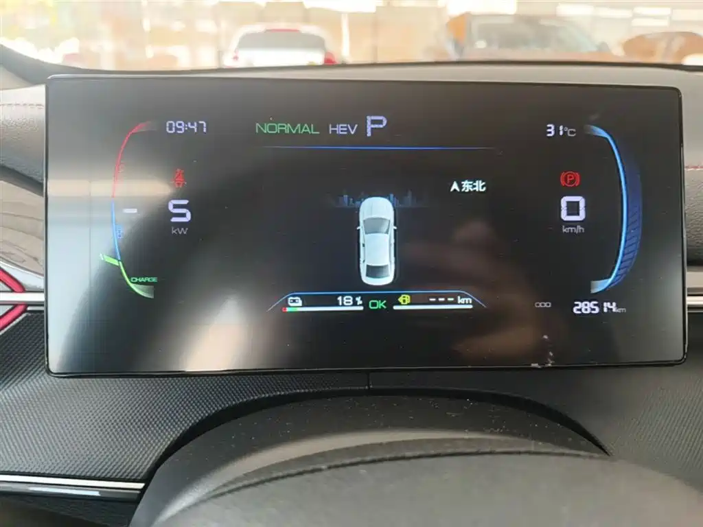 BYD Destroyer 05 2023 Champion Edition DM-i 55KM Luxury фото 12