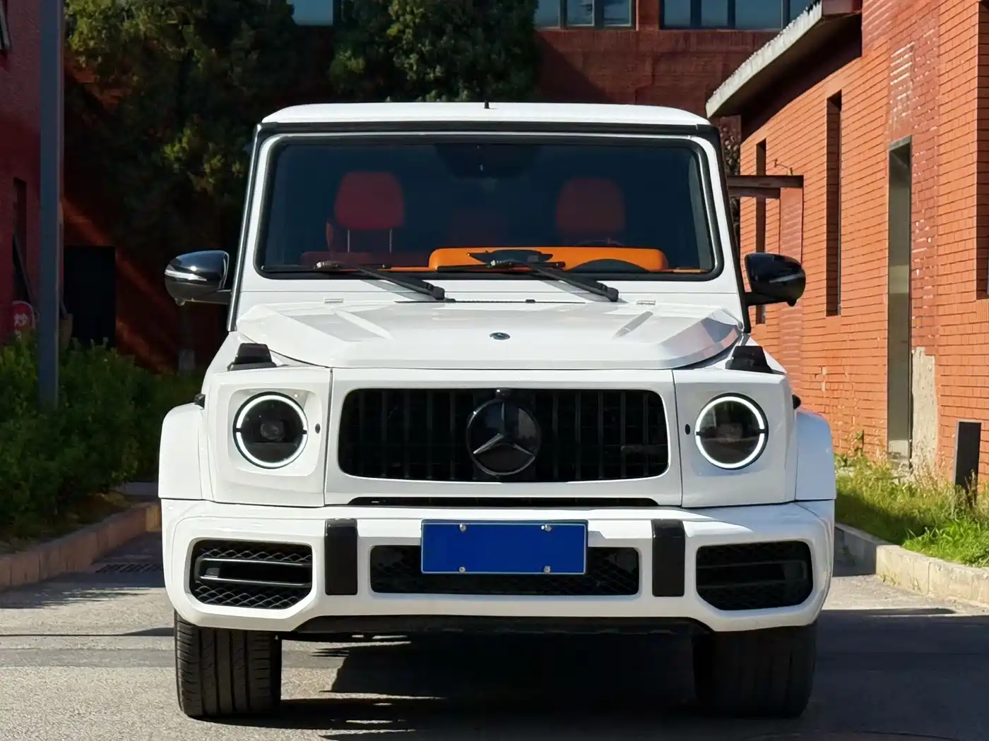 Mercedes-Benz G-Class AMG 2013 AMG G 63 фото 2