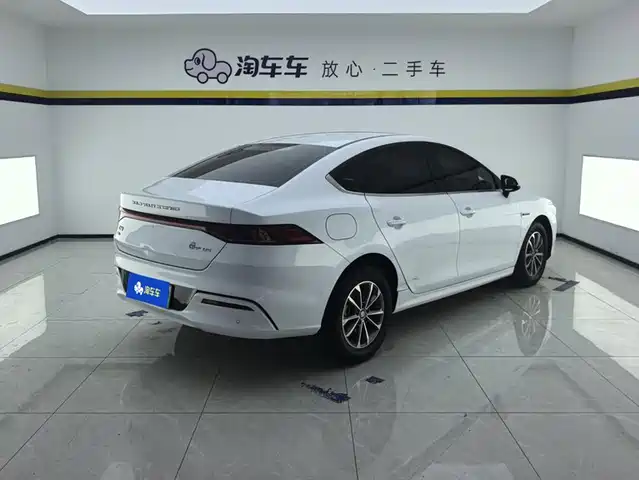 BYD Qin PLUS 2024 Glory Edition DM-i 55KM Leading — фото 3