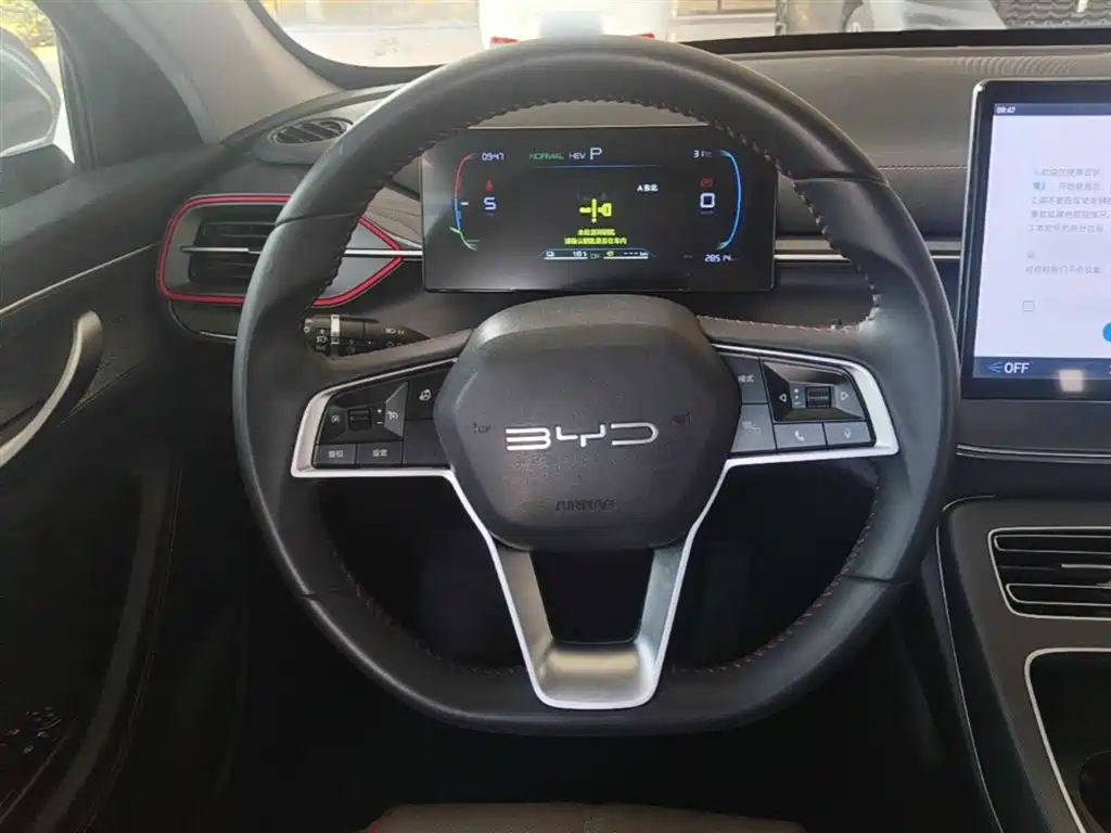 BYD Destroyer 05 2023 Champion Edition DM-i 55KM Luxury фото 11